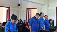 Người mẹ già cạn nước mắt khi con gái trượt dài trong cảnh 'cơm tù áo số'