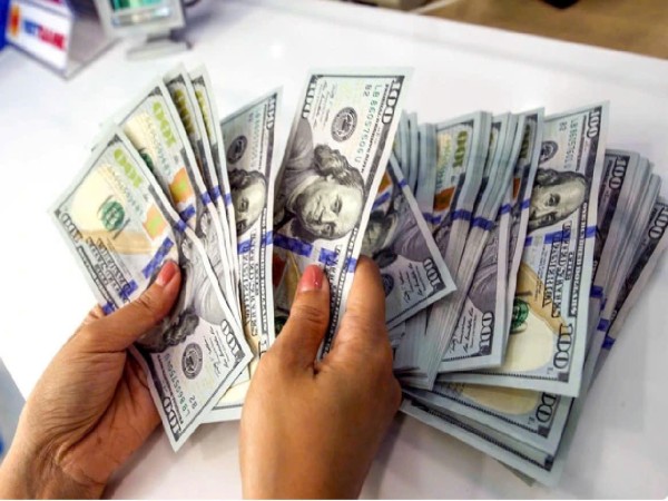 hông tin về tình hình tỷ giá USD