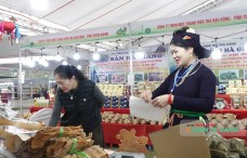 Đẩy mạnh liên kết tiêu thụ, nâng tầm giá trị sản phẩm OCOP