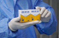 Việt Nam xuất khẩu lô vaccine dịch tả lợn châu Phi lớn nhất sang Philippines