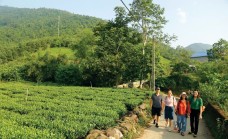 Pháp luật mở đường, du lịch nông nghiệp bước vào “thời điểm vàng”