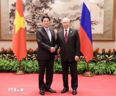 Chủ tịch nước Lương Cường gặp Tổng thống Nga Putin