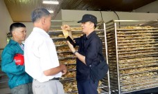 Thái Nguyên: Tập huấn "Tiếp cận thị trường dược liệu dưới tán rừng" nâng tầm giá trị cây thuốc