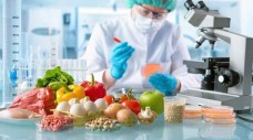 Hoàn thiện hành lang pháp lý, tăng cường quản lý chất lượng sản phẩm thực phẩm