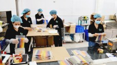 Đồng Tháp: Triển khai hỗ trợ doanh nghiệp nhỏ và vừa lĩnh vực tài chính năm 2025