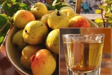 Rượu Táo Mèo - mang đậm nét tinh hoa của núi rừng sản phẩm OCOP đầy hứa hẹn