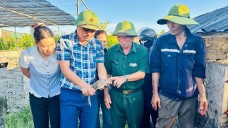 Lão nông biến đất trũng thành “mỏ vàng” nhờ nuôi ếch Thái trong bể xi măng