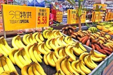 Chuối Việt Nam bứt phá tại Nhật Bản