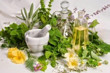 Công dụng của các loại thảo dược đối với gan