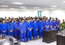 Triệt phá đường dây lừa đảo xuyên quốc gia, 54 bị cáo lĩnh 384 năm tù