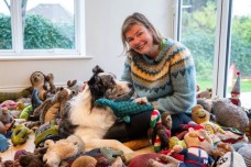 Chú chó thông minh nhớ tên 221 món đồ chơi, gây kinh ngạc giới khoa học