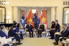 Tổng Bí thư, Chủ tịch nước Tô Lâm hội kiến Toàn quyền Australia