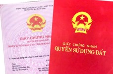 Trường hợp được đính chính Giấy chứng nhận quyền sử dụng đất