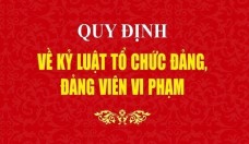 Bộ Chính trị ban hành Quy định 212 về kỷ luật tổ chức đảng, đảng viên vi phạm
