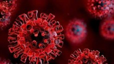 Bộ Y tế thông tin về biến thể SARS-CoV-2 BA.3.2