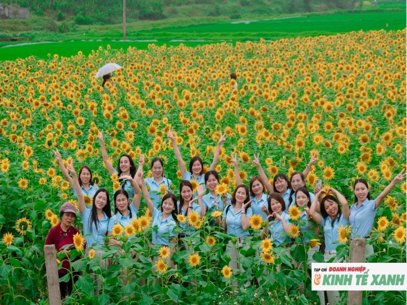 Vườn hoa hướng dương hơn 20.000 cây rực rỡ trên quê Bác hút khách đầu xuân