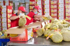 Muốn giữ thị trường 1,4 tỷ dân, nông sản Việt phải cạnh tranh bằng chất lượng