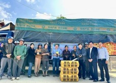 Trao con giống - Tạo sinh kế giảm nghèo bền vững cho đồng bào dân tộc thiểu số miền núi Nghệ An