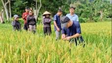Niềm vui ở bản Đoòng