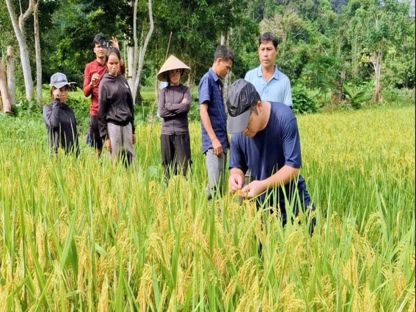 Niềm vui ở bản Đoòng