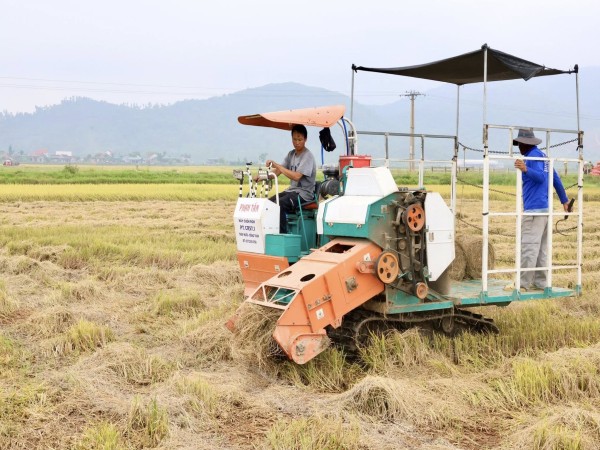 Thu gom rơm rạ sau thu hoạch góp phần bảo vệ môi trường