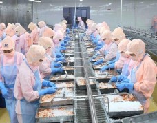 Xuất khẩu thủy sản đạt 8 tỷ USD trong 8 tháng đầu năm 2026