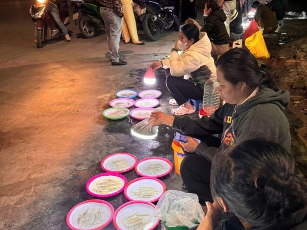 Chợ mực nháy Cửa Lò hút khách về đêm