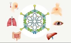 Adenovirus tăng gấp 3 lần, cảnh báo nguy cơ lây nhiễm từ bể bơi công cộng