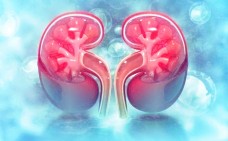 Muốn bảo vệ 2 quả thận, nhất định phải hạn chế 8 loại thực phẩm này