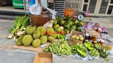 Giá sầu riêng Ri 6 rẻ bất ngờ