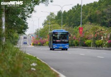 Ngắm cung đường tuyệt đẹp xuyên rừng ngập mặn ở TP.HCM