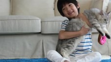 Cậu bé gần như mất thị lực vĩnh viễn do thói quen ôm mèo mà không rửa tay