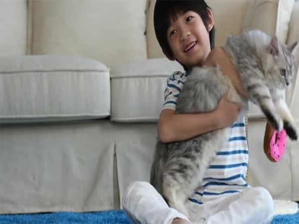 Cậu bé gần như mất thị lực vĩnh viễn do thói quen ôm mèo mà không rửa tay