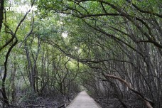 Khám phá di tích lịch sử chiến khu Rừng Sác