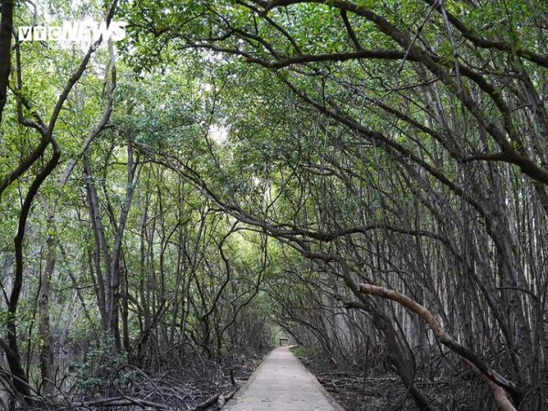 Khám phá di tích lịch sử chiến khu Rừng Sác