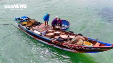 Ruốc đỏ au xuất hiện dày đặc ở vùng biển gần bờ, ngư dân bội thu