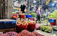 Ớt Việt tăng tốc xuất khẩu, trở thành trụ cột mới của ngành rau củ