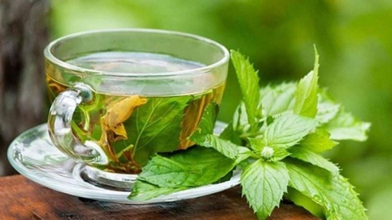 Công dụng của cây mật gấu đối với sức khỏe