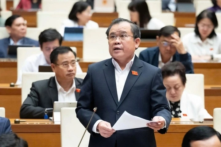 Đại biểu Nguyễn Tâm Hùng - Đoàn TP.HCM (Ảnh: Quốc hội)