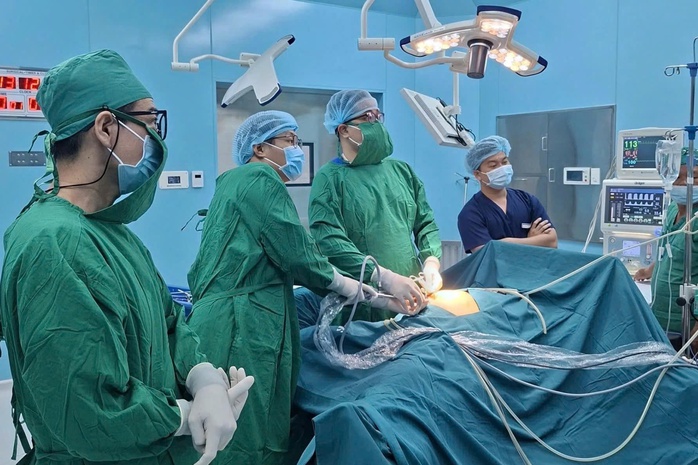 Y tế TP HCM đột phá với mô hình đa tầng - đa cực - Ảnh 2.