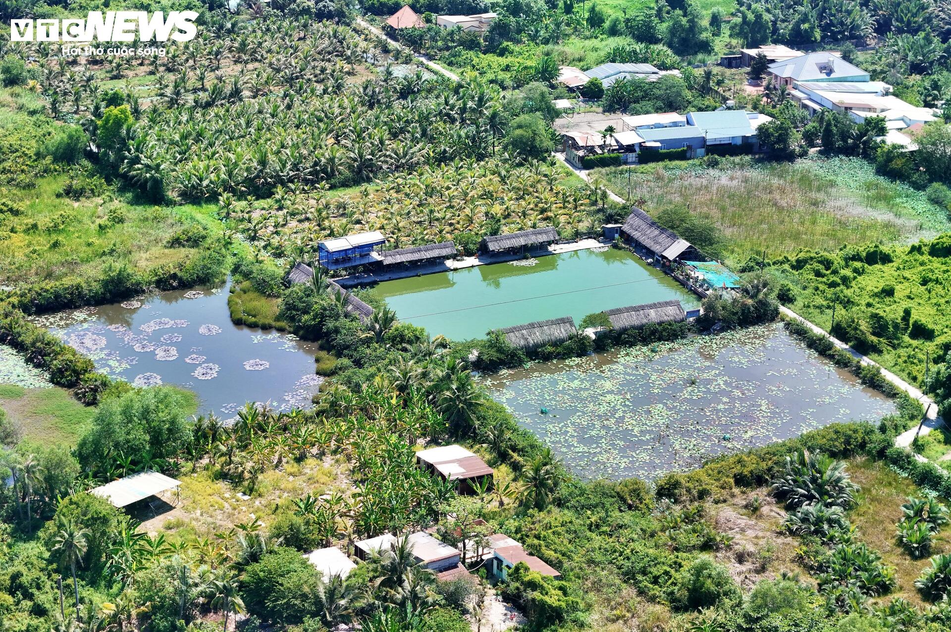 Siêu dự án hơn 30 năm 'nằm im' ở TP.HCM sắp được hồi sinh - 10