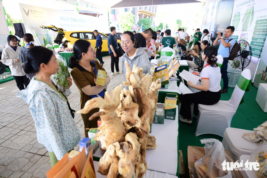 Hơn 1.200 khách tới khám phá Ngày trải nghiệm xanh Khánh Hòa, đi xe điện, đổi rác lấy quà - Ảnh 4.