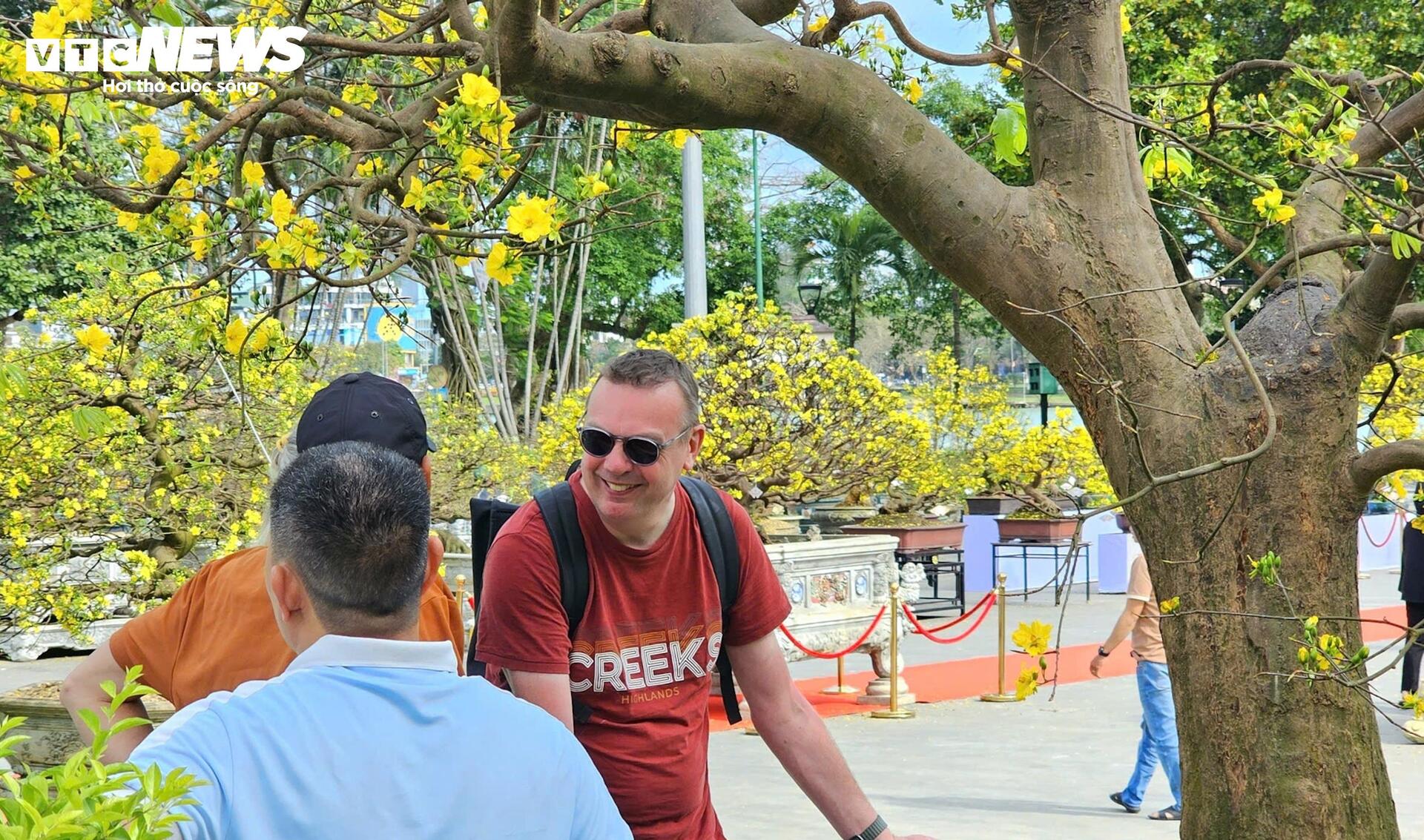 Hoàng mai Huế quý hiếm giá bạc tỷ bung nở rực rỡ dịp cận Tết - 9