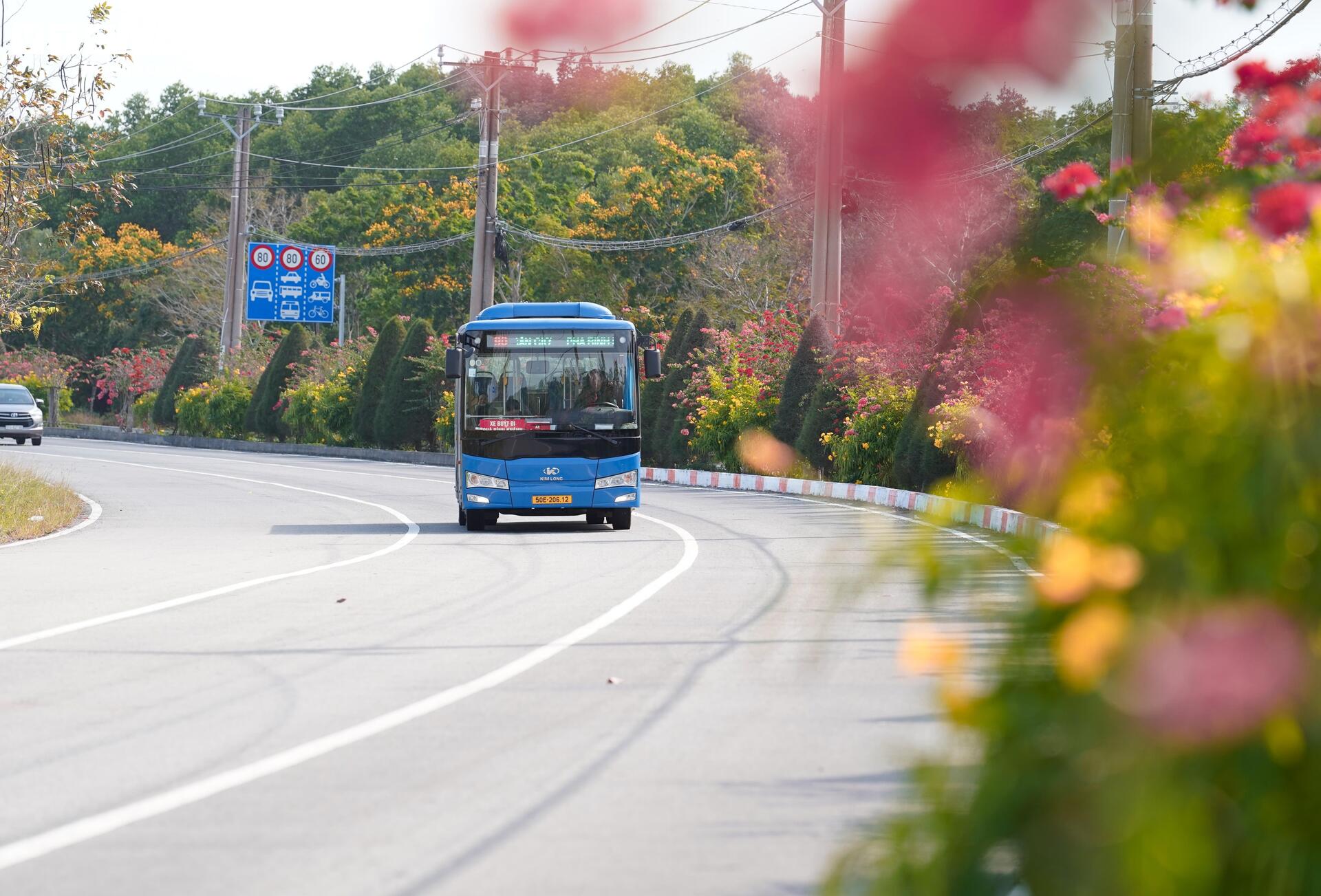 Ngắm cung đường tuyệt đẹp xuyên rừng ngập mặn ở TP.HCM - 8