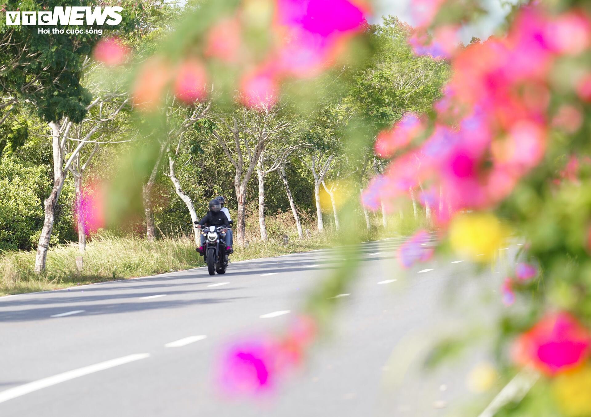 Ngắm cung đường tuyệt đẹp xuyên rừng ngập mặn ở TP.HCM - 6