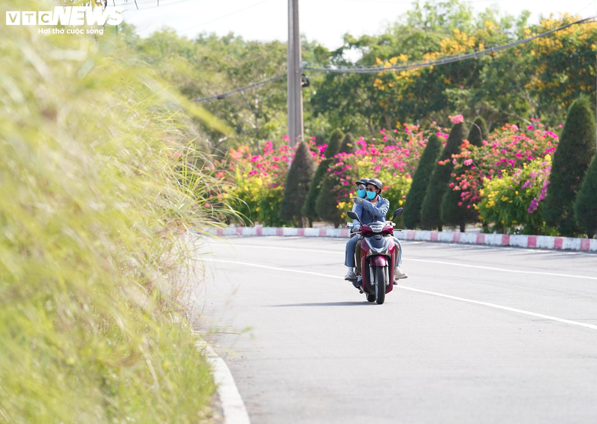 Ngắm cung đường tuyệt đẹp xuyên rừng ngập mặn ở TP.HCM - 5