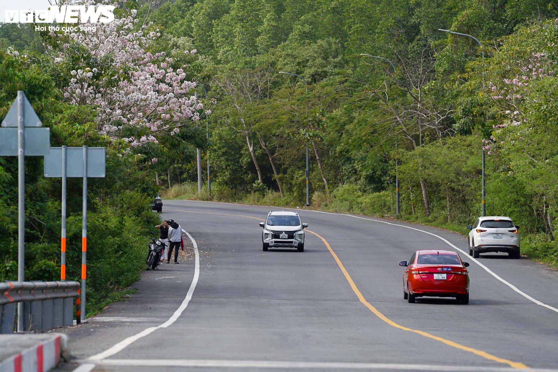 Ngắm cung đường tuyệt đẹp xuyên rừng ngập mặn ở TP.HCM - 4