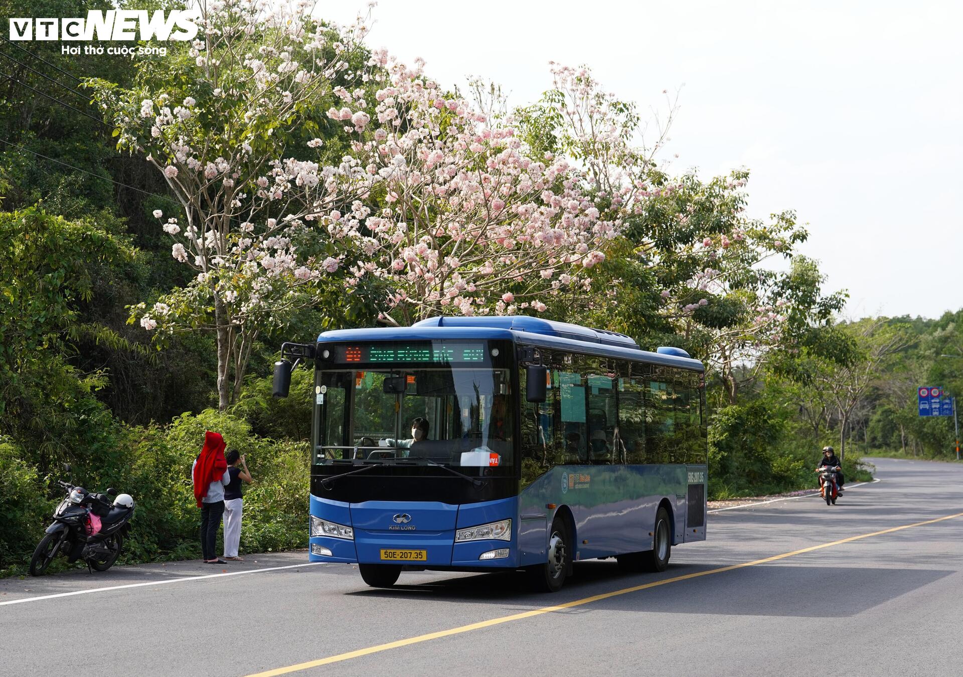 Ngắm cung đường tuyệt đẹp xuyên rừng ngập mặn ở TP.HCM - 7