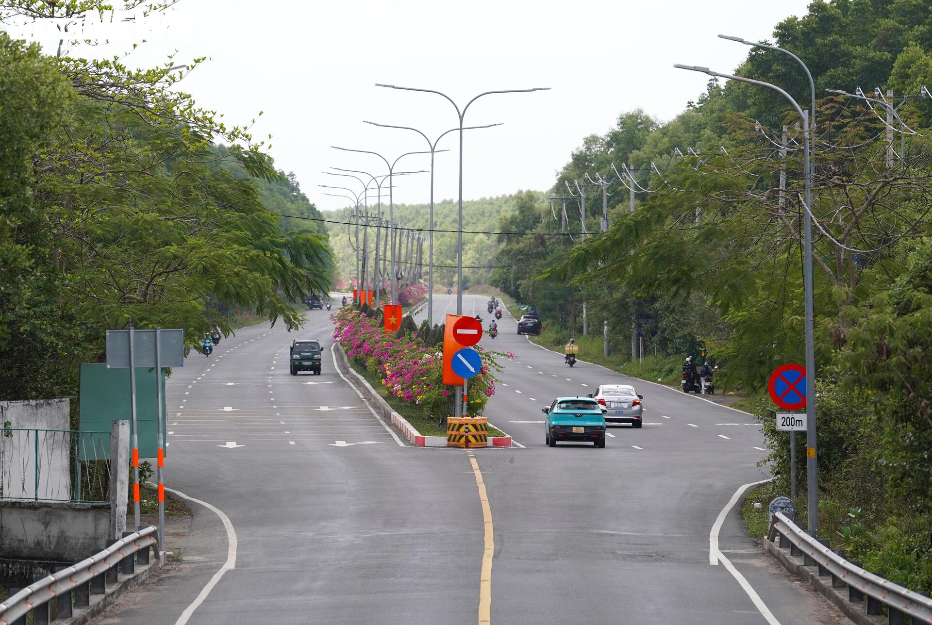 Ngắm cung đường tuyệt đẹp xuyên rừng ngập mặn ở TP.HCM - 9