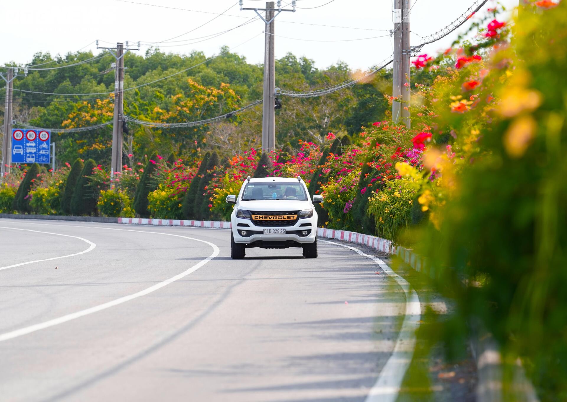 Ngắm cung đường tuyệt đẹp xuyên rừng ngập mặn ở TP.HCM - 3